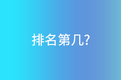 瑞升达在支付行业排名第几?